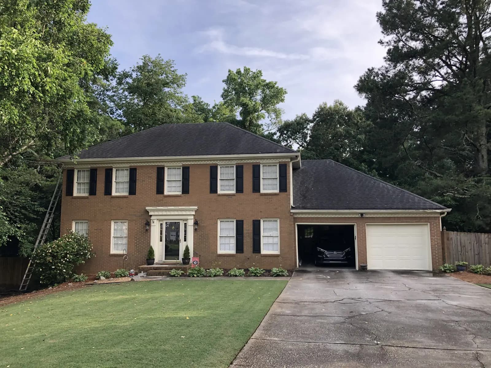 Before photo of Wynn